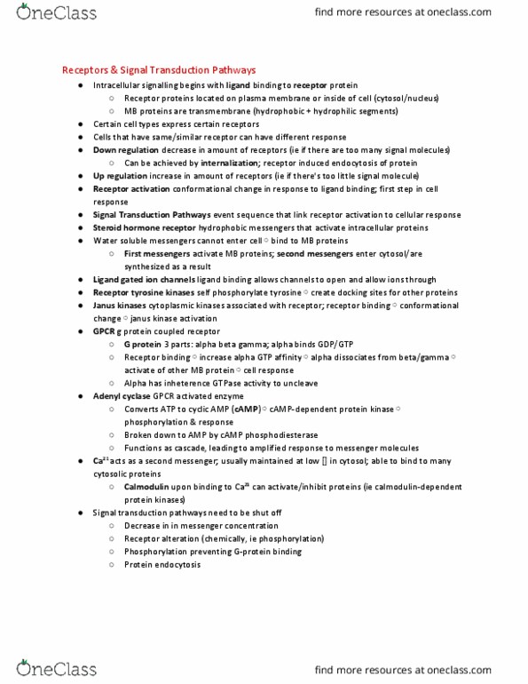 CAS BI 315 Chapter Notes - Chapter 1.2-1.3; 5: Loose Connective Tissue, Epithelium, Fluid Compartments thumbnail